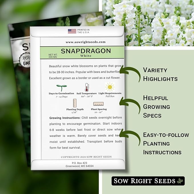 Sow Right Seeds - White Snapdragon Seeds for Planting - Non-GMO Heirloom Annual Variety - Beautiful Snap Dragons Flowers - Easy to Grow - Perfect for Gardens and Pots - Attract Pollinators (1)