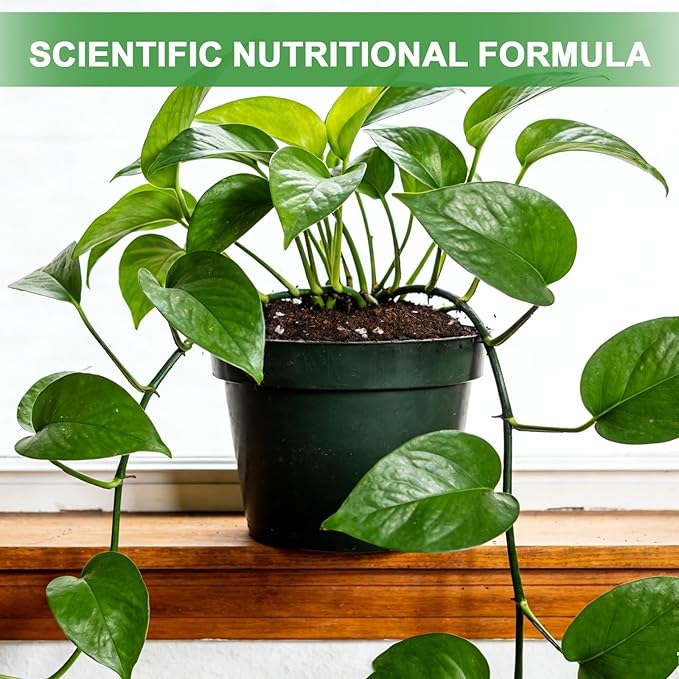 Pothos Potting Soil -Pure Natural Organic Soil 2qt, Well-Draining and Aerated for Healthy Indoor Plants