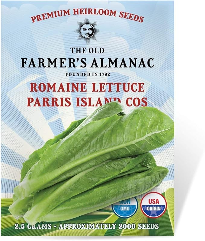 The Old Farmer's Almanac Heirloom Romaine Lettuce Seeds (Parris Island Cos) - Approx 1800 Seeds - Non-GMO, Open Pollinated, USA Origin