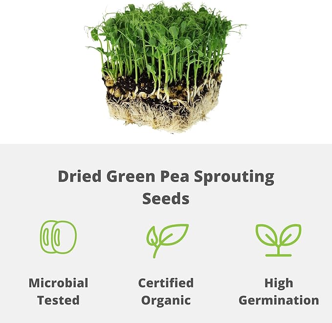 Green Pea Sprouting Seed - 5 Lb Brand - Green Pea for Sprouts, Garden Planting, Cooking, Soup, Emergency Food Storage, Vegetable Gardening