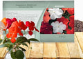 Outsidepride Xtreme Hot Mix Impatiens Flower Seeds - 150 Pcs Annual, Compact & Pollinator Friendly, Impatiens Seeds for Planting w/Vibrant, Abundant Blooms for Shade Gardens & Container Displays