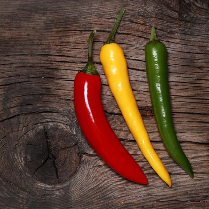 Seeds Ornamental Chili Pepper Mix - Hot - Heirloom Vegetable - GMO Free