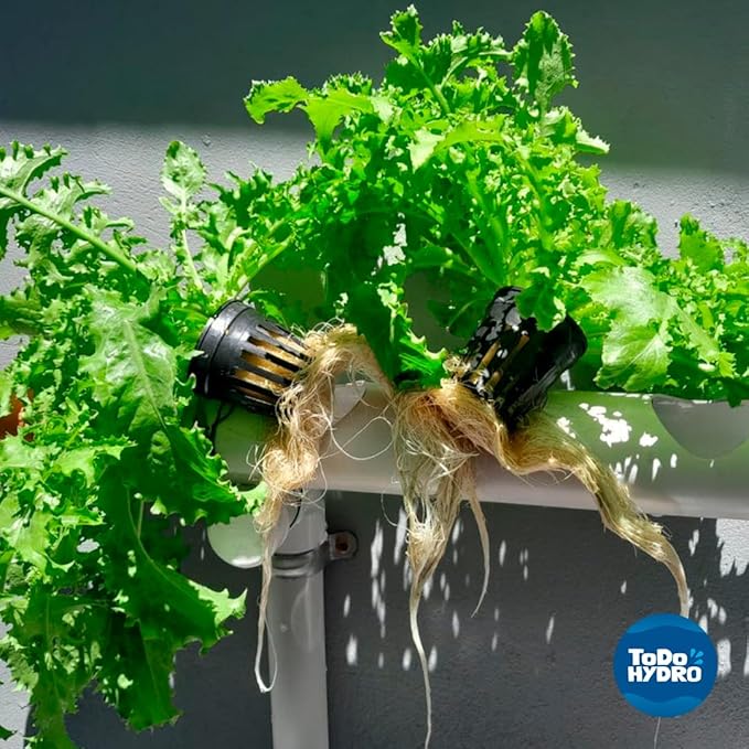 Grower Cloner DWC 8 Plant Hydroponic Starter & Cloning Kit with Aeration System