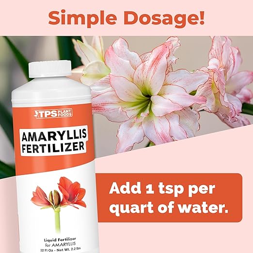 Amaryllis Fertilizer – Liquid Plant Food for Bigger Blooms, Stronger Bulb Development & Vibrant Flower Color, 8 oz