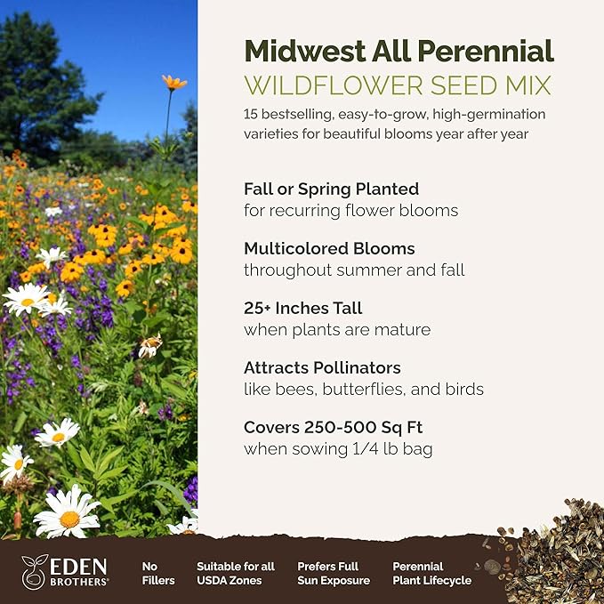 Eden Brothers Midwest All Perennial Wildflower Mixed Seeds for Planting, 1/4 lb, 120,000+ Seeds with Hyssop, Shasta Daisy | Attracts Pollinators, Plant in Spring or Fall, Zones 3, 4, 5, 6, 7, 8, 9, 10