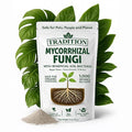 Tradition Mycorrhizal Fungi with Beneficial Soil Bacteria – 1,000 Spores per Gram – Water Soluble Root Inoculant for Houseplants, Vegetables, Trees & Garden Soil – 4 oz