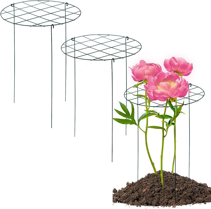 3 Pack Peony Cages and Supports 16 x 24 Inch Grow Through Plant Support Peony Support Ring for Outdoor Plants