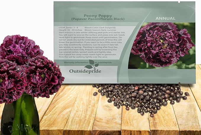 Outsidepride Peony Black Poppy Seeds for Planting - 5000 Pcs Annual, Drought-Tolerant & Easy to Grow Wildflower Seeds with Vibrant Dark Burgandy Blooms for Landscaping, & Pollinator Garden