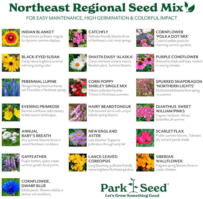 Park Seed Grow Your Own Vibrant Annual and Perennial Wildflower Garden Seeds Mixture, Easy to Grow Varieties for Pollinators and Spring Gardens - Northeast Regional Mix, 10 lbs