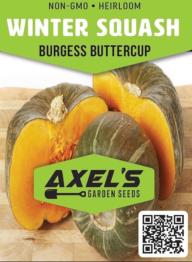 Winter Squash Seeds for Planting – Plant & Grow Burgess Buttercup Squash – Instructions to Plant Non GMO Heirloom Home Outdoor Vegetable Garden – Great Gardening Gift, 3 Packets