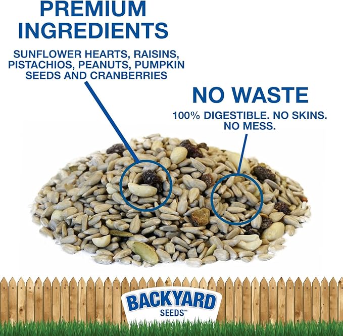 CountryMax Backyard Seeds No Mess, No Waste Mix with Fruit Frenzy Blend - Hulled Pumpkin Seeds, Cherry Flavored Cranberries, Pistachios, Dark Raisins - Bird Seed (5 Pounds)
