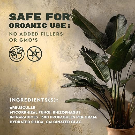 Mycorrhizae Inoculant Powder, 10 oz, 300+ Spores/g Mycorrhizal Fungi, Root Stimulator for Transplanting, Vegetables, Trees & Flowers, Made in USA