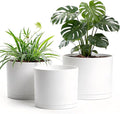 10/9/8 Inch Large Plant Pots with Drainage Holes and Trays, 3 Pack Modern Minimalist Cylinder Planters for Monstera, Snake Plant, Indoor Outdoor (Matte White)