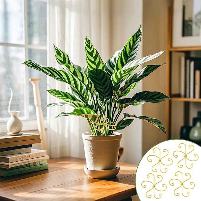 YBB 10Pcs Monstera Plant Stem Support, 2 Patterns Iron Monstera Stabilizer Plant Stem Holder Support Structures for Indoor Climbing Plants