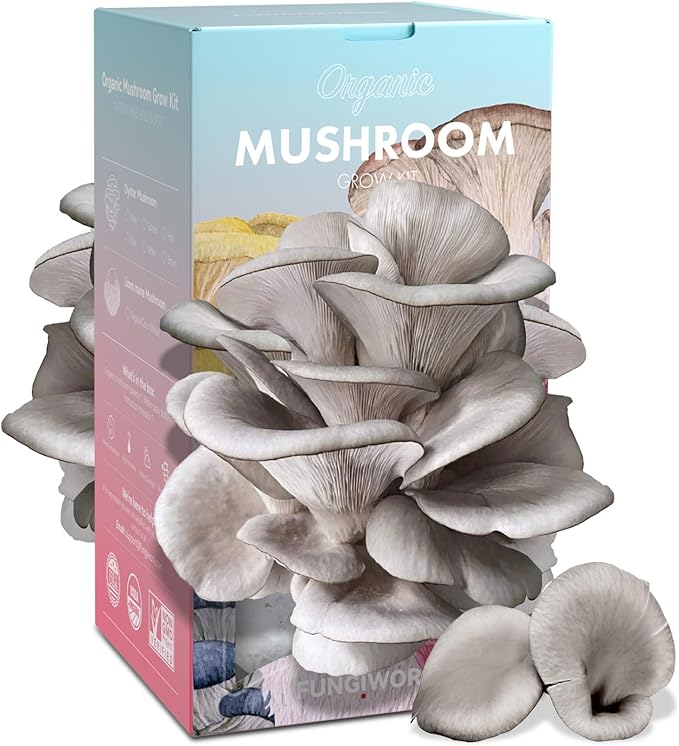 Organic Edible 4lbs Oyster Mushroom Growing Kit, Made in USA, Double-Side Mushroom Grow Kit Indoor, Harvest Gourmet Mushrooms in 10 Days, Top Gardening Gift, Holiday Gift