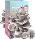 Organic Edible 4lbs Oyster Mushroom Growing Kit, Made in USA, Double-Side Mushroom Grow Kit Indoor, Harvest Gourmet Mushrooms in 10 Days, Top Gardening Gift, Holiday Gift