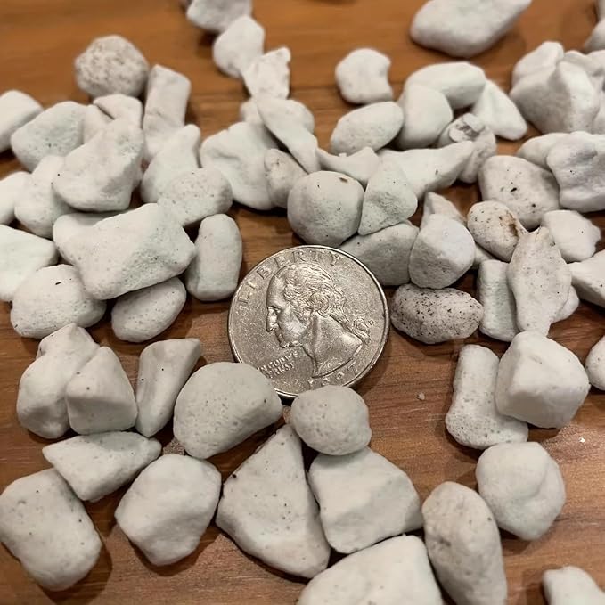 1lb/2lb Chunky Perlite for Plants Horticultural Coarse Pearlite for Enhanced Drainage and Ventilation for Indoor Outdoor Plants (1lb)
