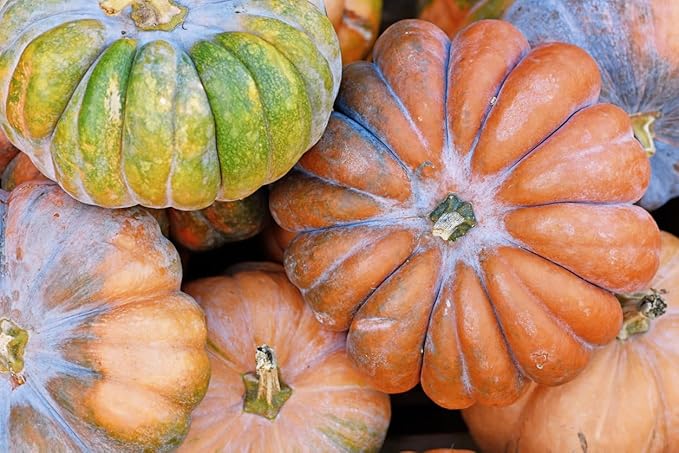 Fairytale Pumpkin Seeds - 10 Seeds - One of The Most Interesting and Decorative Pumpkins as Well as Delicious