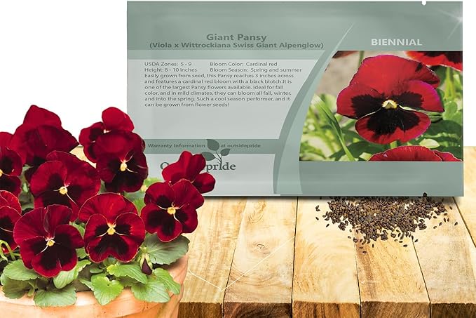 Outsidepride Red Alpenglow Viola Pansy Seeds for Planting - 1,000 Pcs. Biennials, Trailing, Cold-Hardy & Pollinator Friendly Flowers with Fragrant Blooms for Garden Beds, Borders & Container Displays