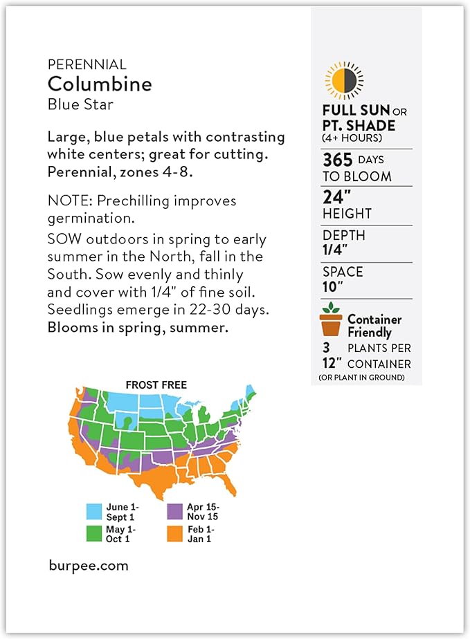 Burpee Blue Star Columbine Seeds - Heirloom Perennial for Shade