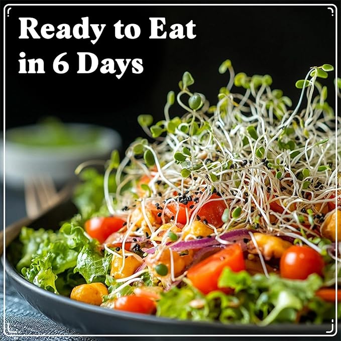 Seedboy Organic Non-GMO Sprouting Seeds, Longevity Blend – USA Grown Microgreens Mix with Broccoli, Red Kale, Black Kale, Alfalfa - 8 oz Bag Makes 6 Quarts / 20 Servings (Longevity Blend)