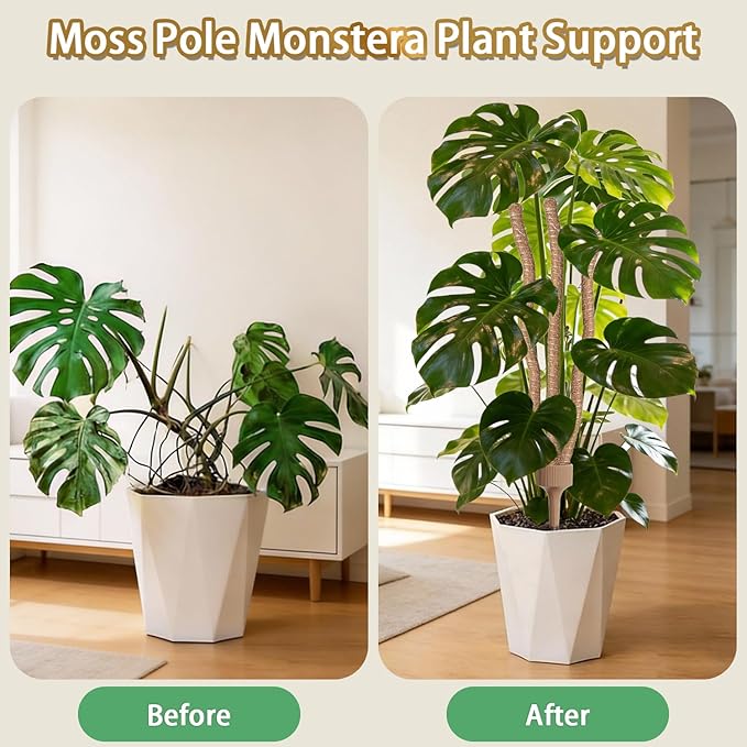 Three in one Bendable Monstera Moss Pole, 30IN Tall Moss Pole Monstera Plant Support for Indoor Plants, Coir Pole Plant Stakes for Climbing Plants, Pothos, Philodendron-1 Pack
