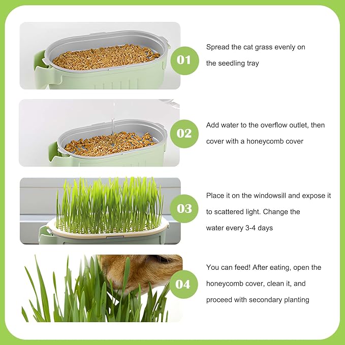 3-Level Hydroponic Cat Grass Planter Box - Ideal for Indoor Cats, No Seeds or Catnip Included