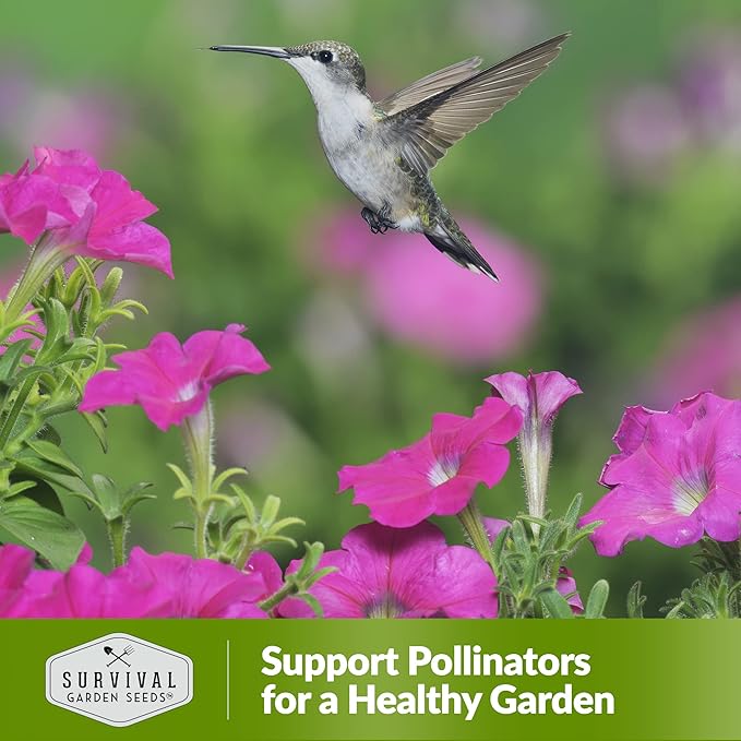 Hummingbird Pollinator Mix Wildflower Seed for Planting - Packet with Instructions to Plant and Grow Flowering Plants in Your Home Vegetable Garden - Non-GMO Heirloom Varieties - Survival Garden Seeds