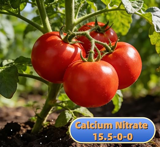 Calcium Nitrate 15.5-0-0 Fertilizer (6 lb) - Horticultural Grade Calcium Nitrate Soluble Plant Food for Hydroponics, Garden Plants, Fruit, Vegetables, Tomatoes