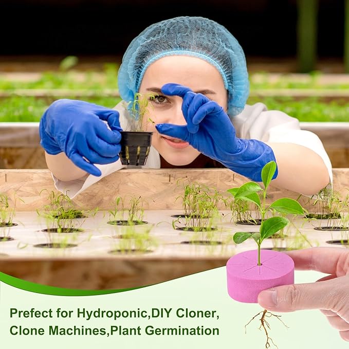 60-Pack Cloning Collars Inserts, Hydroponics Sponge Systems Cloning DIY Foam Cloner Inserts Fits 2" Net Pots for Hydroponic/DIY Cloner/Clone Machines/Plant Germination [Rose Red]