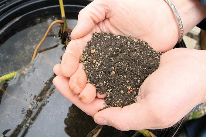 Aquascape Pond Aquatic Plant Potting Media, 432 Cubic inches | 89003