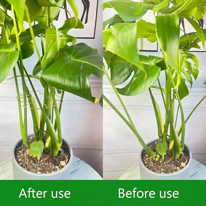 4PCS Adjustable Monstera Plant Support Stakes - Indoor Plants Accessories with Secure Clamps, Easy to Install & Customize for Tall Plants | Durable Metal Design for Healthy Growth