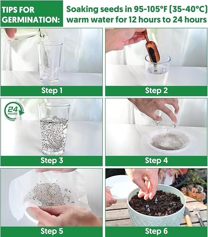 20,000+ Lettuce Seeds, Heirloom Winter Vegetable Seed for Planting Indoor Outdoor, 10 Varieties Fresh Lettuce Salad Seeds Garden Hydroponics Kit - Romaine, Iceberg, Boston, Bibb and More, Non-GMO