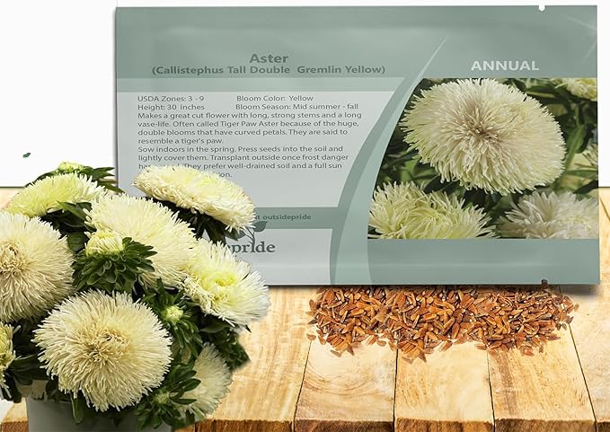 Outsidepride Gremlin Aster Seeds - 2000 Pcs. Annual, Hardy & Pollinator Friendly Flower Seeds for Planting Vibrant Yellow Blooms and Oval-Shaped Leaves, Great for Meadows & Aesthetic Gardens