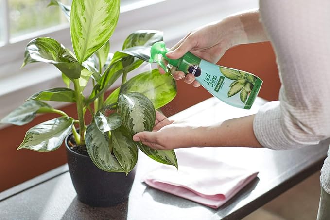 Miracle-Gro Leaf Shine Spray - For Indoor Hard-Leaved Houseplants, Cleans and Beautifies Foliage - 8 fl. oz. (2 Pack)