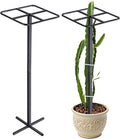 Metal Dragon Fruit Trellis 62" - Adjustable Heavy Duty Metal Plant Support with Square Top Design for Climbing Plants and Vertical Gardening, Powder-Coated Black for Garden, Patio, Indoor Use