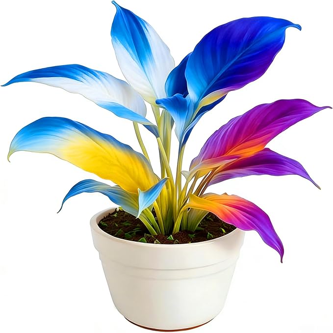 Hosta Seeds for Planting, 210+pcs Rare Perennial Hosta Flower Seeds Plants, Non-GMO Heirloom Long Blooming Plants Shaded Entry Pathway Flowers for Home Garden Outdoors
