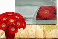Outsidepride Red Gerbera Seeds - 10 Pcs Perennial, Compact & Low Maintenance, Flower Seeds for Planting w/Mounding Foliage & Vibrant Red Blooms, Ideal for Garden Landscaping & Cut Flower Arrangements