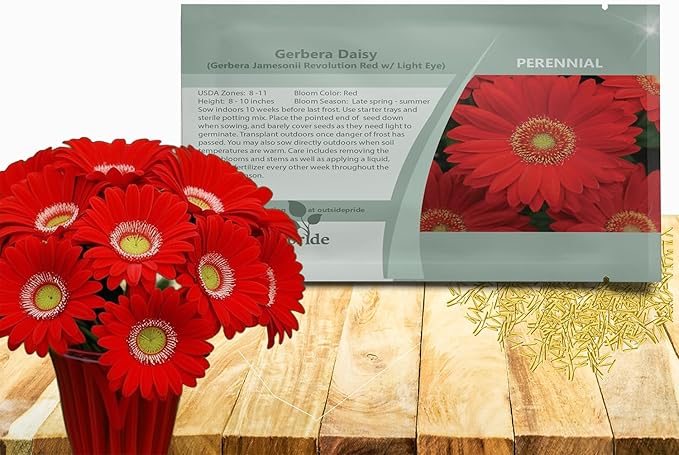 Outsidepride Red Gerbera Seeds - 10 Pcs Perennial, Compact & Low Maintenance, Flower Seeds for Planting w/Mounding Foliage & Vibrant Red Blooms, Ideal for Garden Landscaping & Cut Flower Arrangements