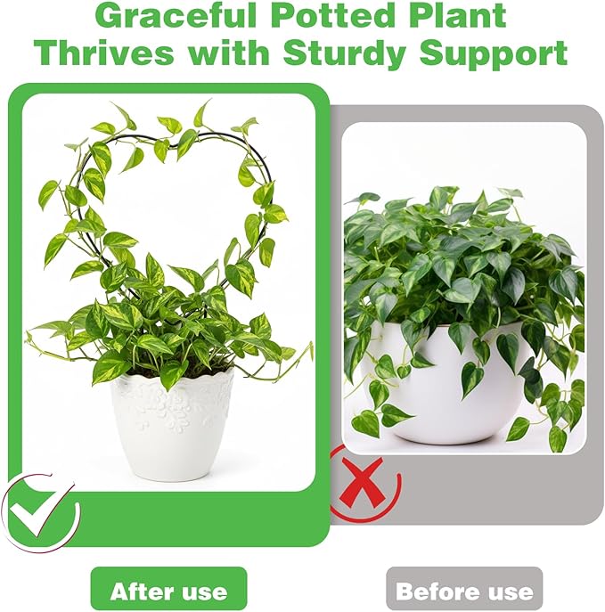 2PCS Heart Plants Trellis for Climbing Indoor, Small Trellis for Potted Plants 12.20 X 9.06inch, Plant Support Stake Houseplant for Garden Potted Plant, Hoya, Pothos, Flower