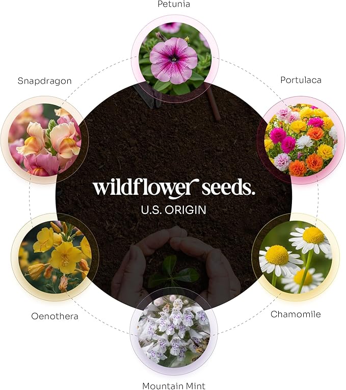 Set of 48 Pink Butterfly Seed Paper – Writable & Plantable Wildflower with Envelopes & Planting Guides, Gift for Moms or Plant Lovers for Mother’s Day, Party Favors for Weddings & Showers