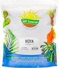 Soil Sunrise Hoya Plant Potting Soil Mix (8 Quarts) Custom Blend for Growing Hoya Tropical Houseplants