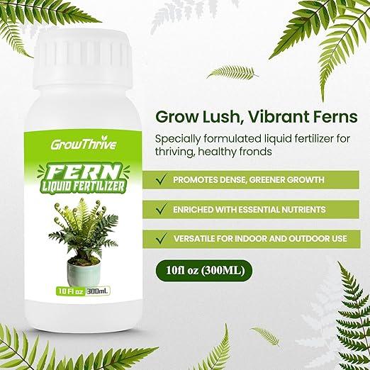 Fern Liquid Fertilizer – Natural Organic Plant Food for Ferns, Indoor & Outdoor Use, 10 Oz Concentrated Probiotic Formula for Greener Leaves, Strong Roots & Healthy Growth