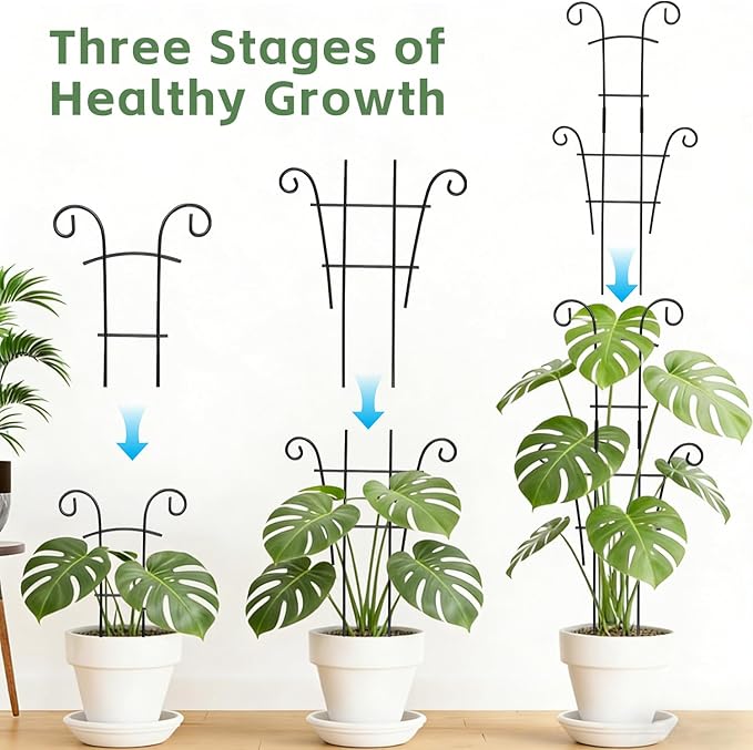 24 Inch Plant Trellis for Potted Plants Outdoor，Larger 2P Metal Garden Trellis for Climbing Plants Indoor Outdoor，Fan Shape Houseplant Monstera Trellis for Hoya Pothos Vine