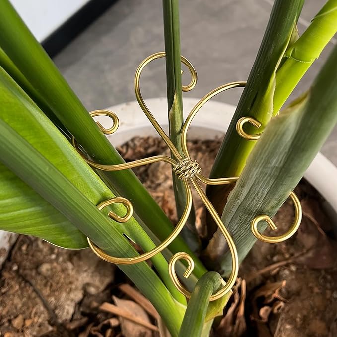 6pcs Plant Stem Support, Iron Monstera Plants Support, Plant Stem Holder Support Unique Design Bamboo Clamp Set for Outdoor & Indoor Growing Climbing Plants Stabilization and Supports