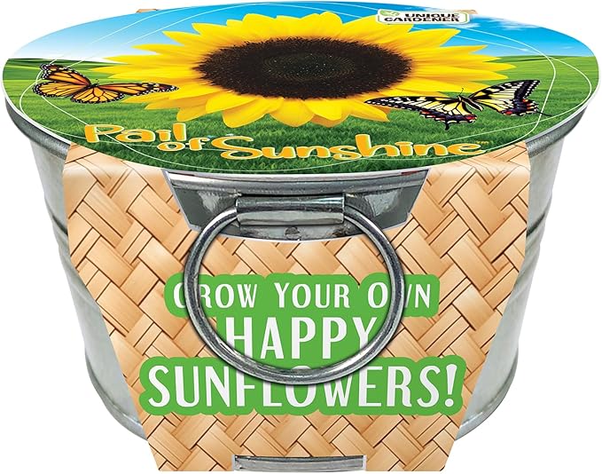Unique Gardener Grow Your Own Mini Sunflowers Plant Seeds 3-Pack, DIY Indoor Succulents and Live Plants for Home or Garden Planting, Pail of Sunshine