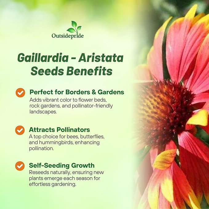 Outsidepride Gaillardia Aristata Red Blanket Flower Seeds for Planting - 1 lb Perennial Wildflower Seeds, Drought-Tolerant for Xeriscaping, Borders, Pollinator Gardens, or Wildflower Mixes