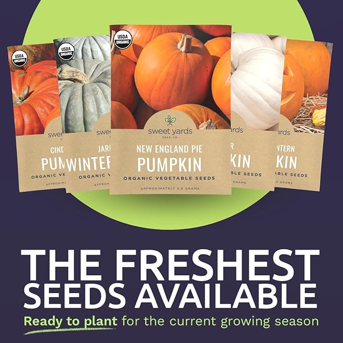 Organic Pumpkin Seeds Variety Pack - 6 Individual Packs - 2026 Season - Jack O' Lantern, Cinderella, Big Max and More! for Indoor & Outdoor Planting (Non-GMO, Certified Organic)