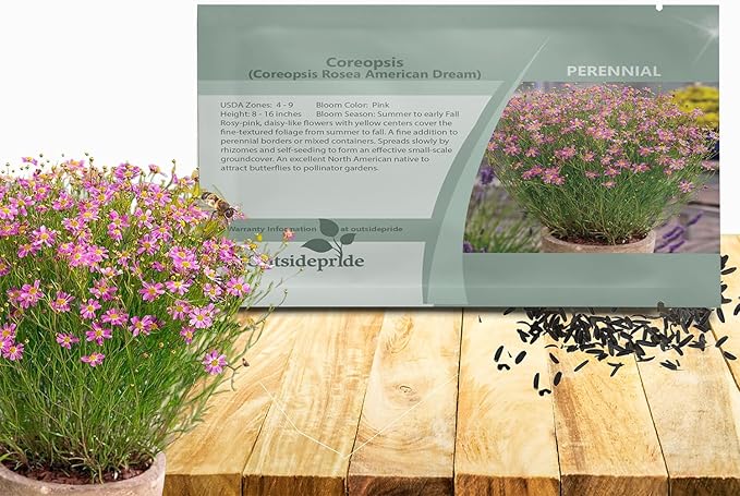 Outsidepride American Dream Pink Coreopsis Seeds - 500 Pcs Perennial & Hardy Flower Seeds for Planting w/Fine Foliage, Ideal for Borders, Pollinator-Friendly Gardens, & Low-Maintenance Landscaping