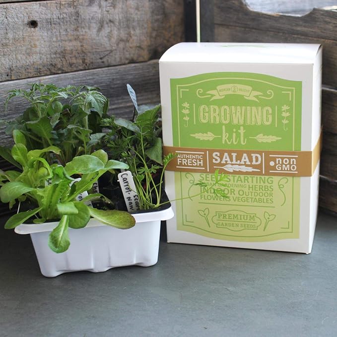 Mexican Salsa & Hot Sauce Making Kit | Deluxe | 12 Non-GMO Seed Varieties | Mexican Seeds for Salsa, Pico De Gallo, Hot Sauce | Includes Chili Peppers, Tomato, Onion, Garlic Chives, Tomatillo, More